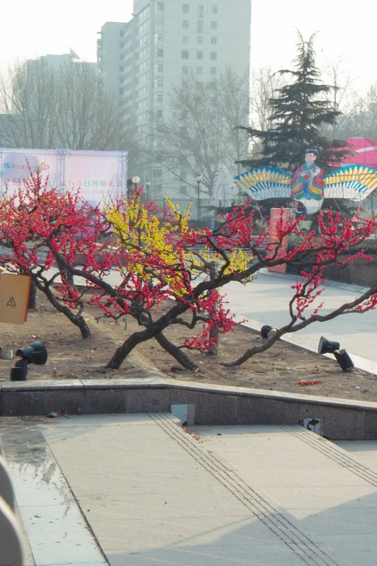 Impressionen Beijing