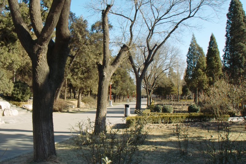 Kohlehügel - Jing-Shan-Park