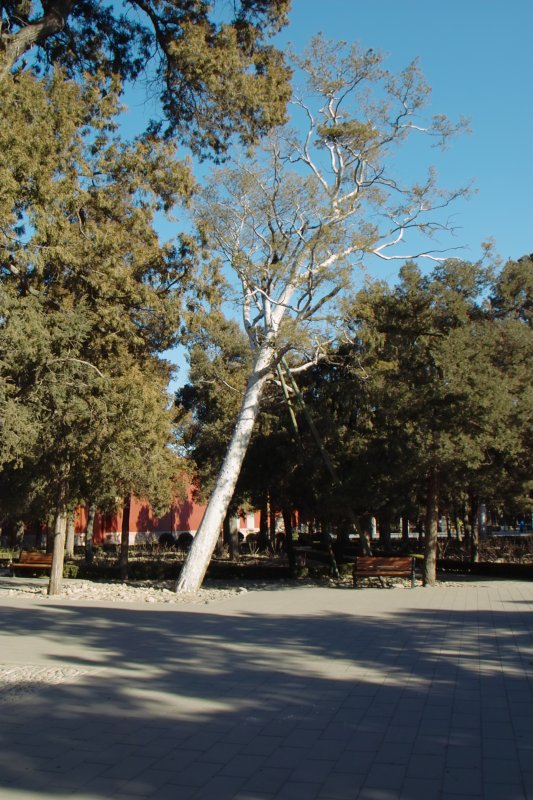 Kohlehügel - Jing-Shan-Park