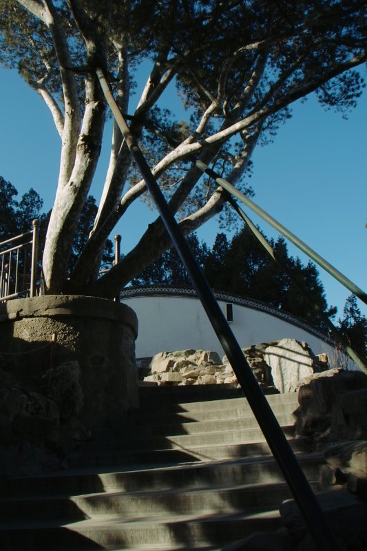 Weiße Pagode auf Jadeinsel im Beihai-Park